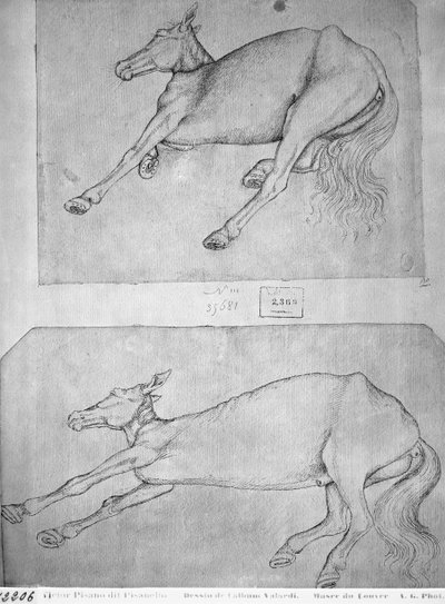 Dead Horses, from the Vallardi Album by Antonio Pisanello